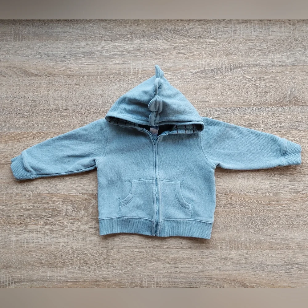 Rwar!!! Gymboree dinosaur hoodie 2T-3T - Picture 2 of 12